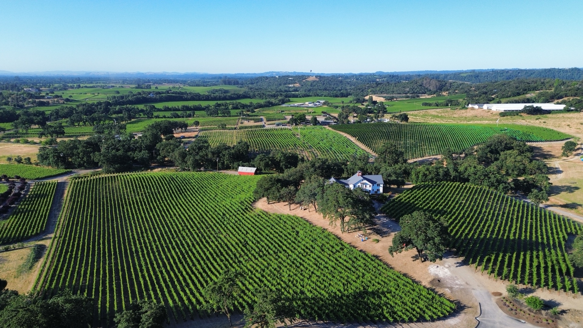 Russian River Valley Wine Guide: Map, Region & What to Taste