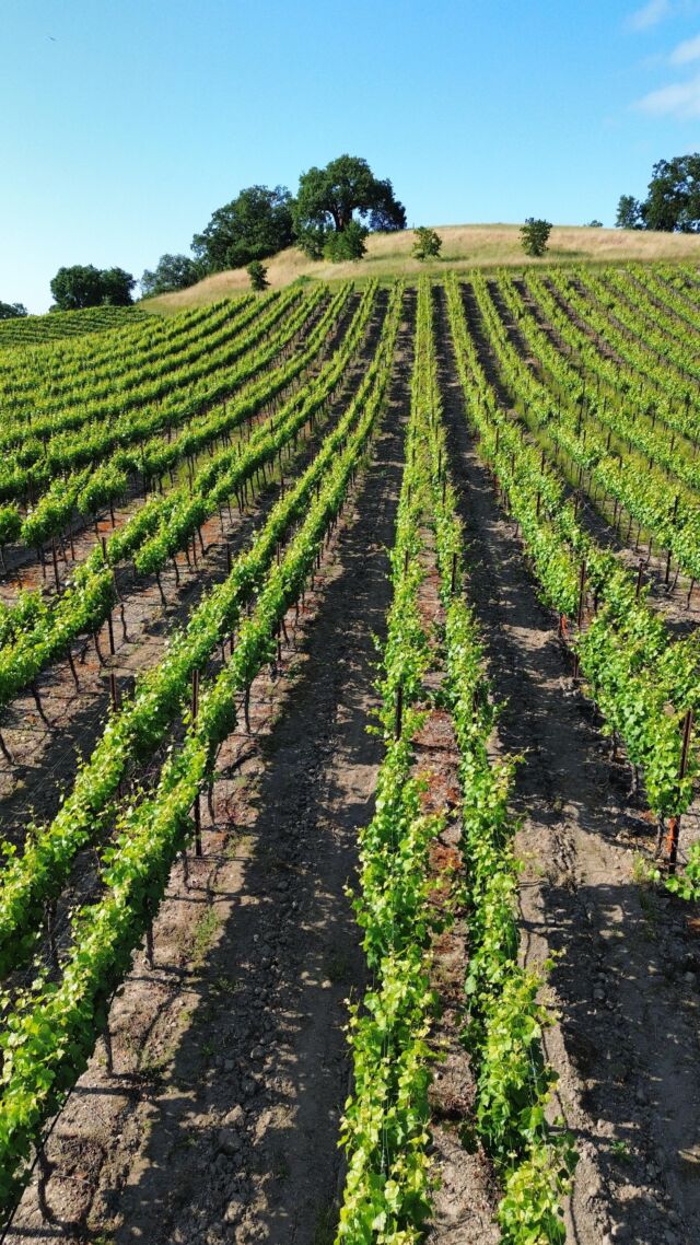 Contact Us Domaine de la Rivière